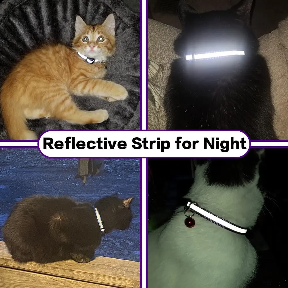 cat collar with airtag case  