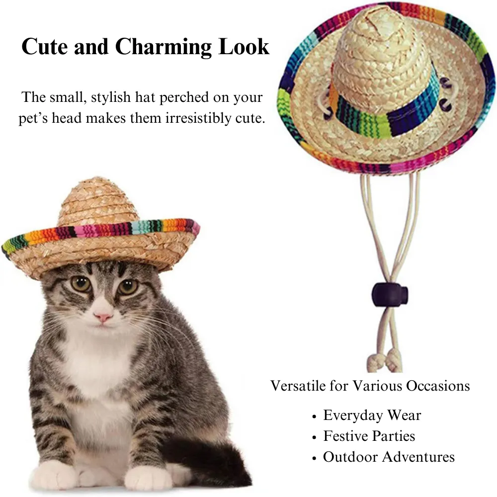 Mexican Pet Hat - Fun Small Size for Pets