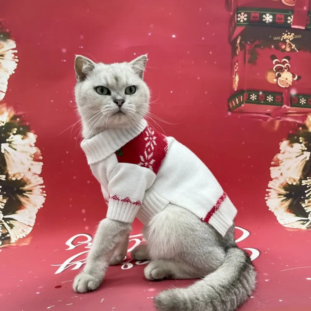 perium cat sweater