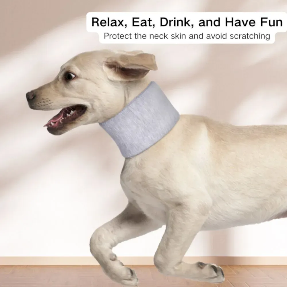 Breathable Dog Neck Brace