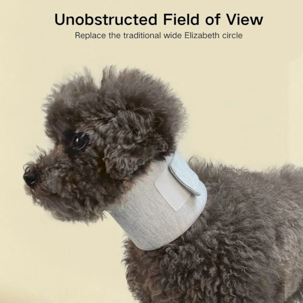 Dog Neck Brace bulk 