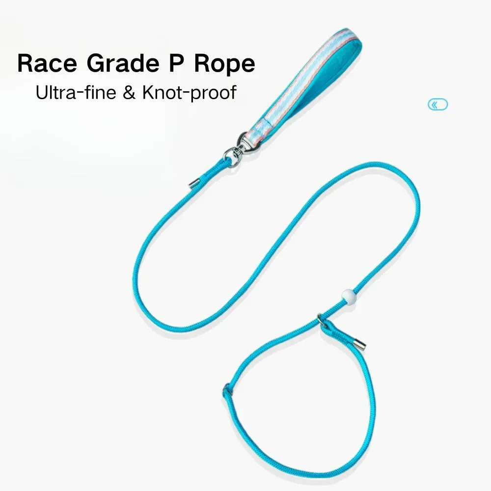 Pet Slip Lead Dog Leash