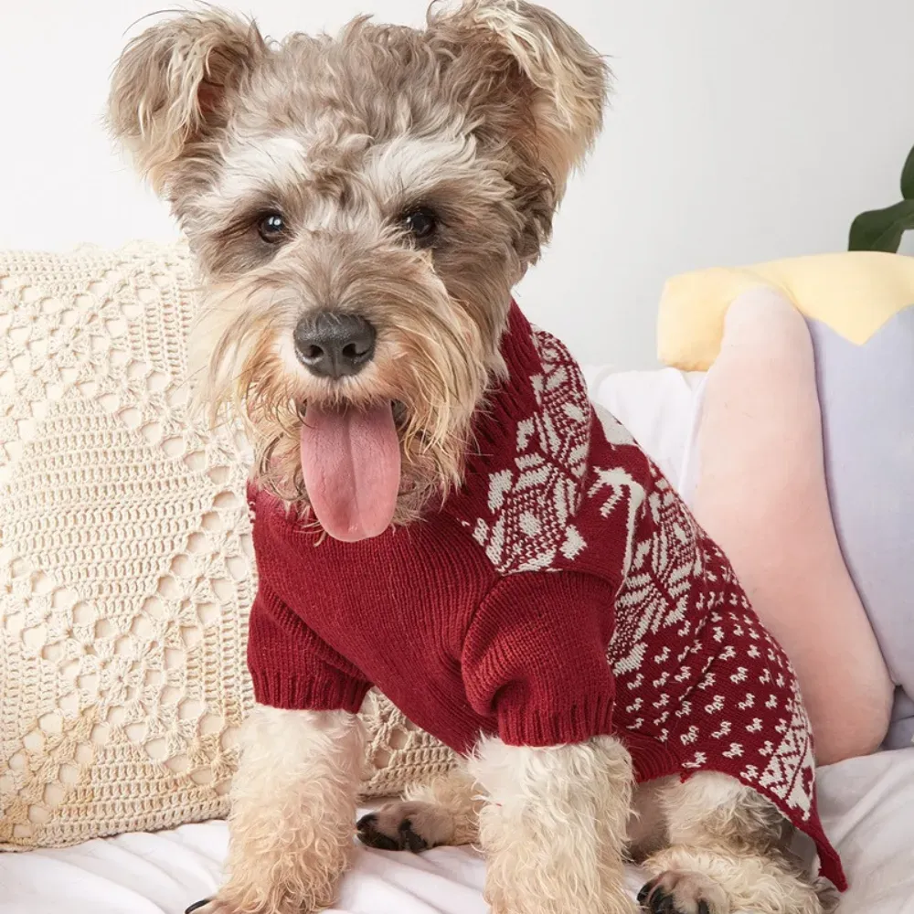 Reindeer Christmas Knit Dog Sweater Winter Holiday Festive