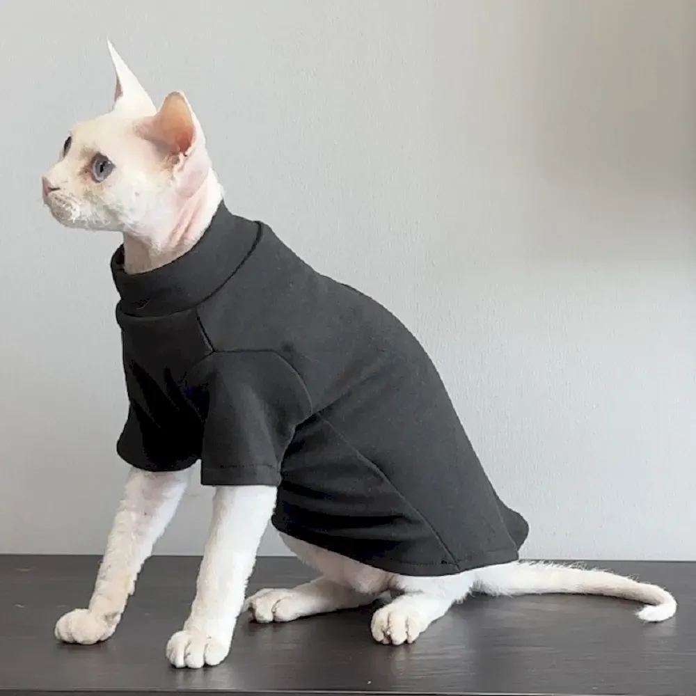 Cold weather cat clothing Cold weather cat clothing for pet