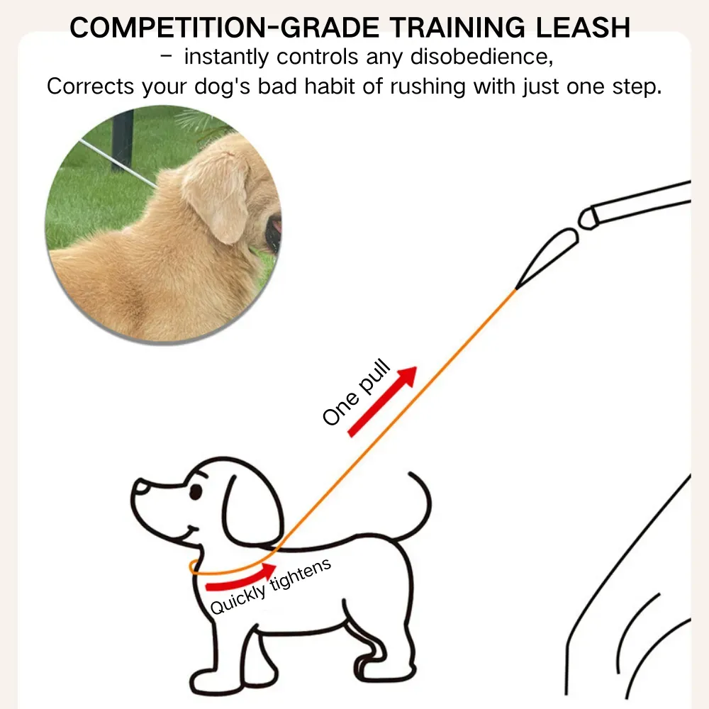 PVC-Coated Steel Wire Leash for Ultimate Durability: Designed with a PVC-coated steel wire for superior strength and durability, this leash can handle even the most powerful dogs.