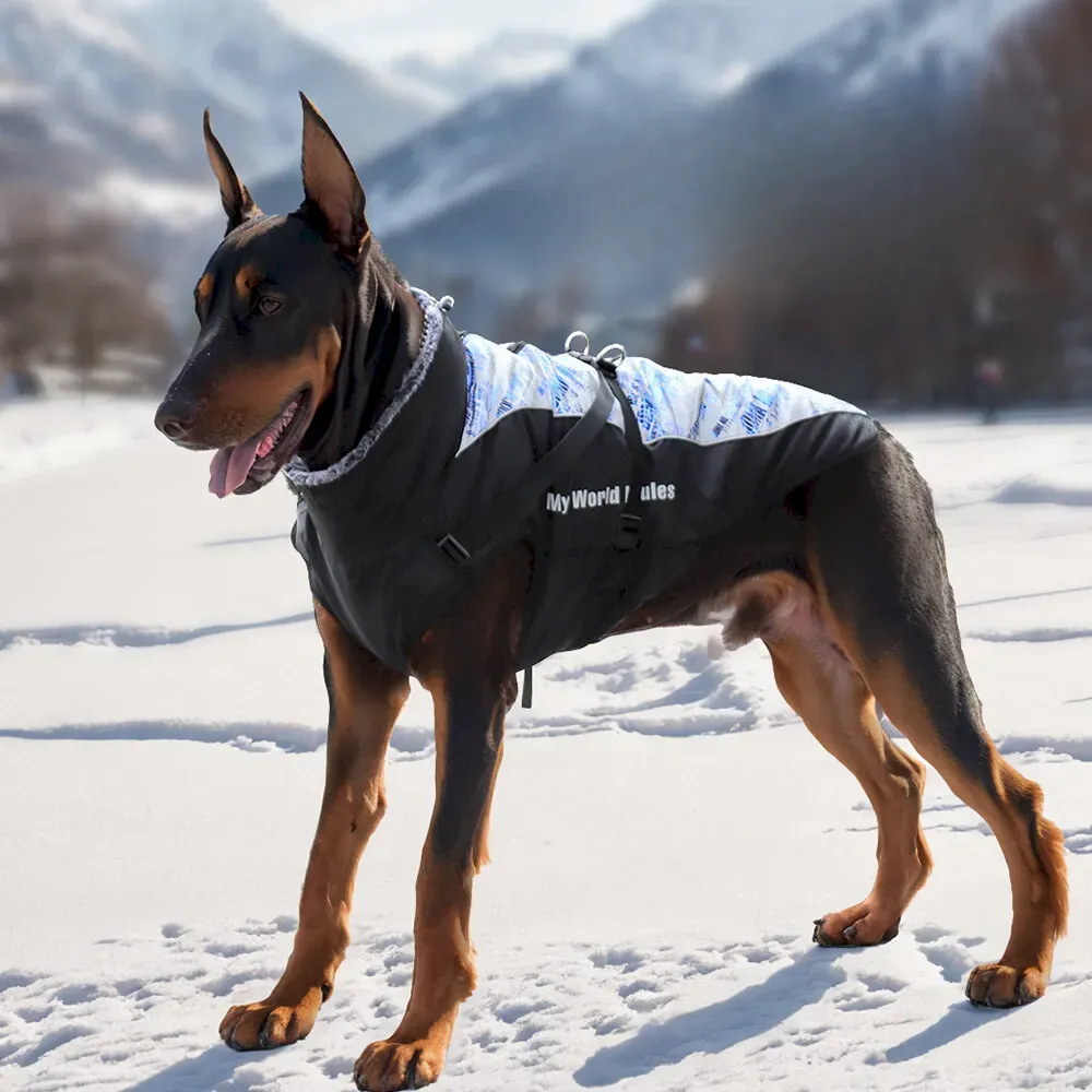 Winter dog jacket warm