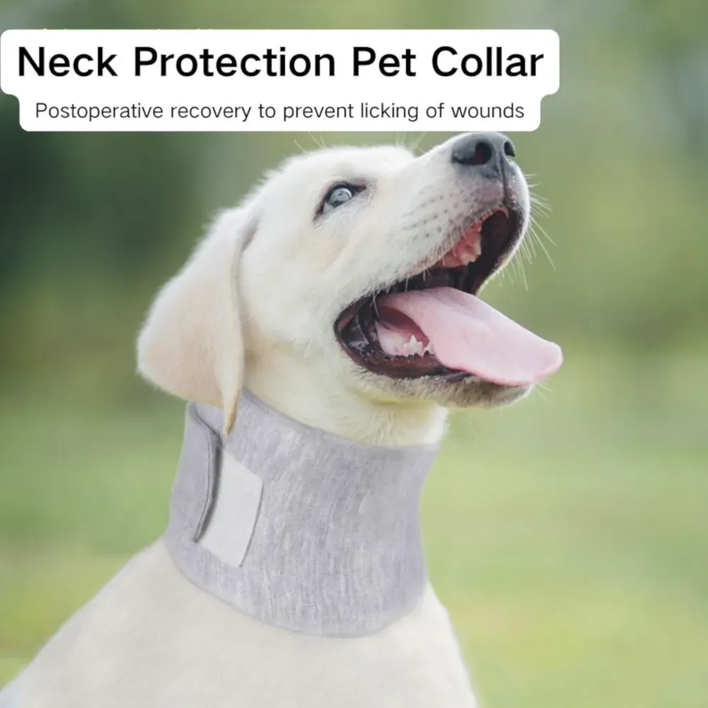 Dog Neck Brace wholesale