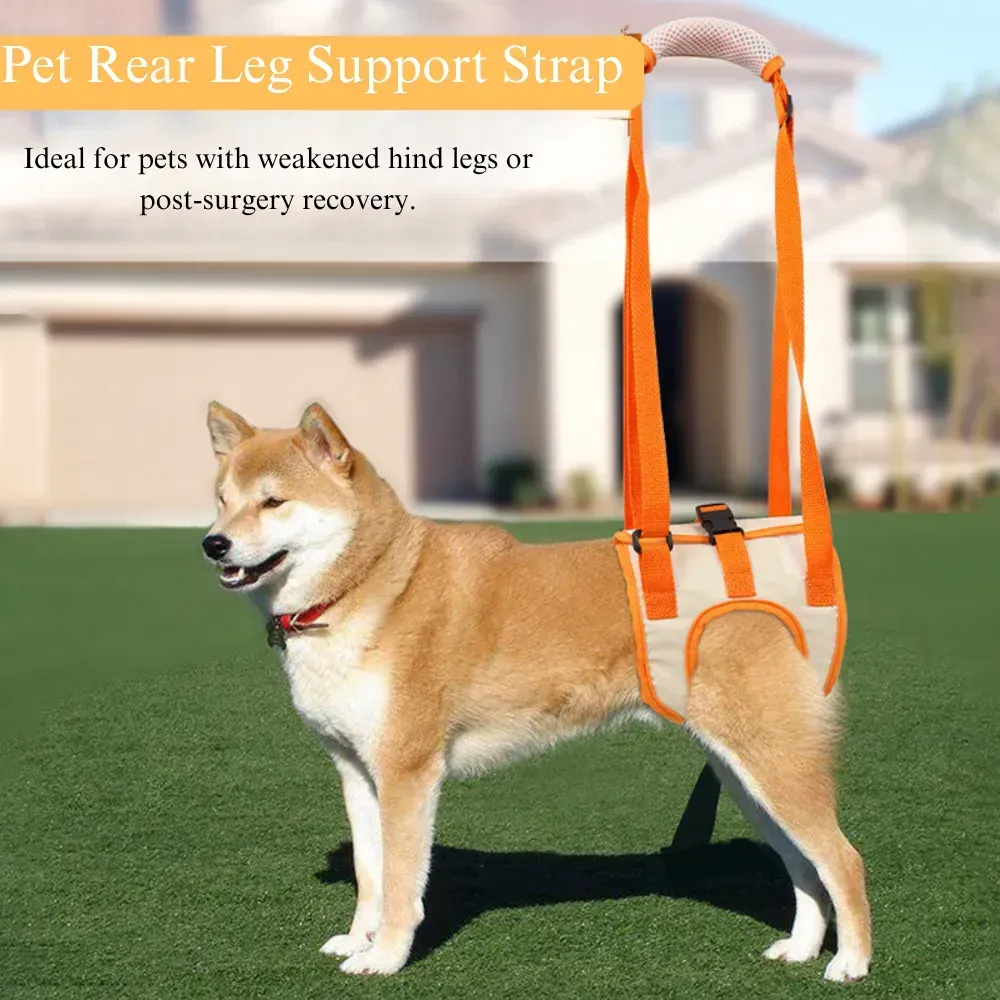 disabled dog harness disabled dog harness
