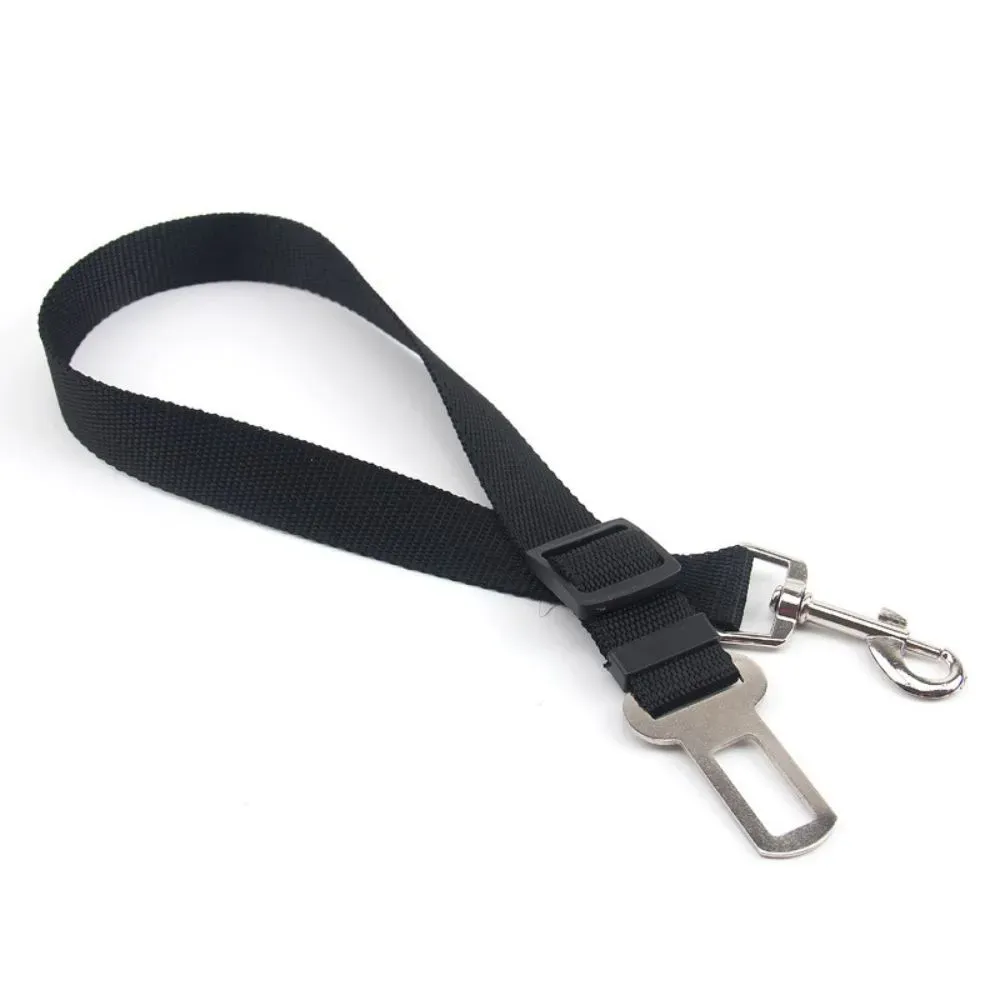 Bulk Car Dog Leash