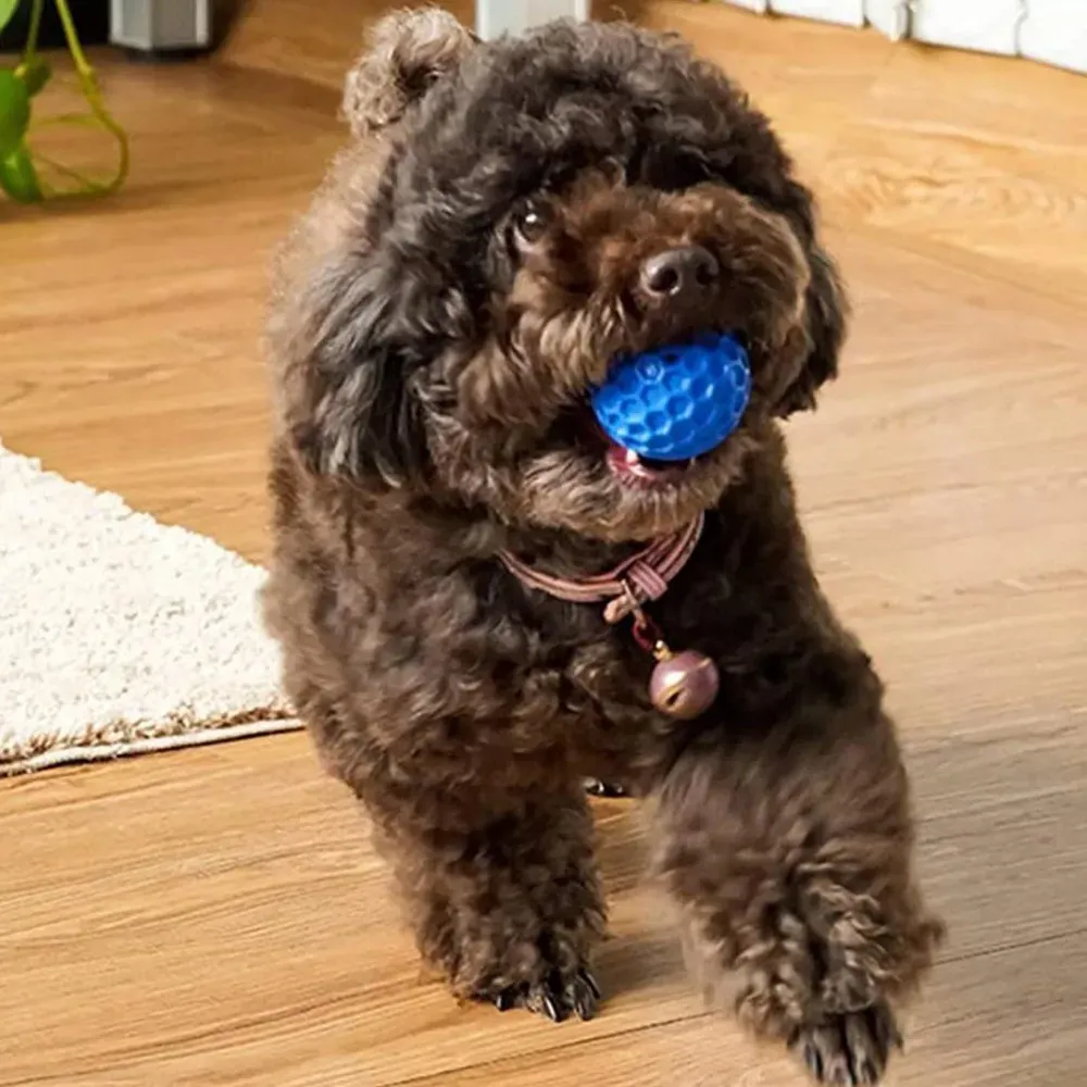 Dog Toy Ball, Puppy Toy, Dog Ball with Squeaker, Small Dog Chew Toy, Heavy Duty Dog Ball, Water Toy Dog Ball, Squeaky Ball, Rubber Squeaky Dog Ball Model Squeaky Rubber Ball Treat Dispenser Interactive Dog Toys