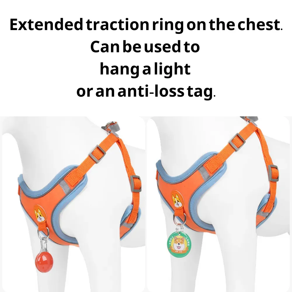 Dog Harness Leash Sets