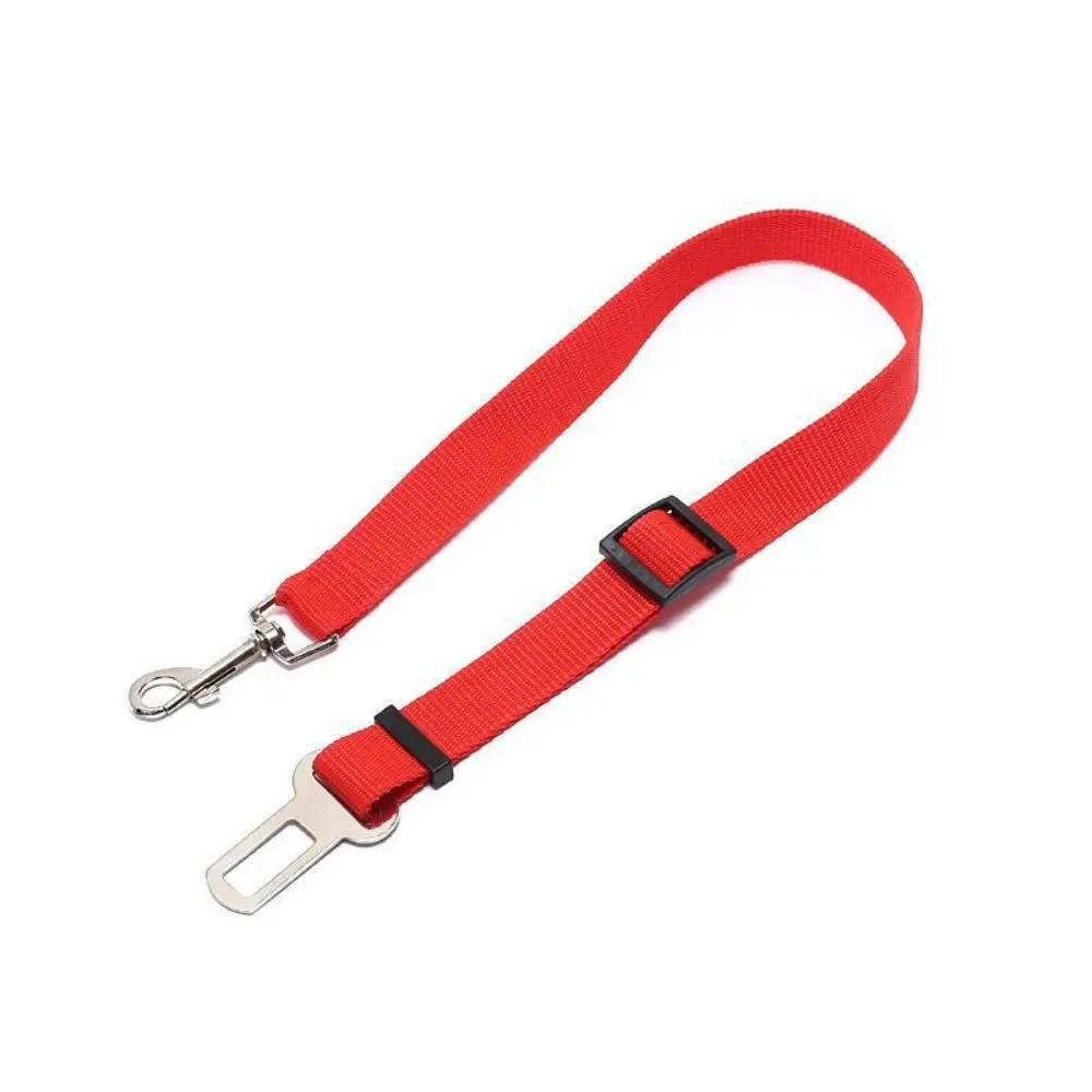 Dog Car Dog Leash