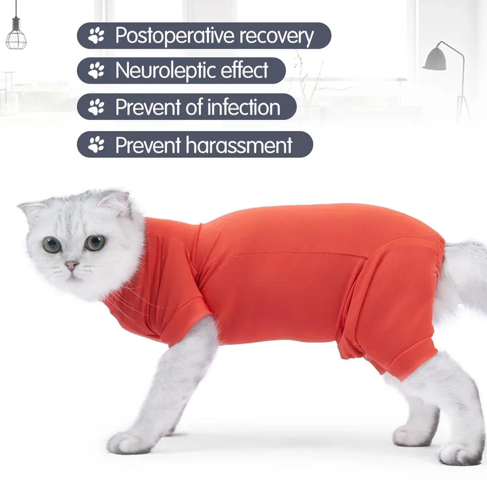 Perfect for Everyday Comfort and Protection: This suit is not only ideal for recovery but also works as a comfortable everyday outfit, providing warmth and protection while keeping your cat relaxed and comfortable.