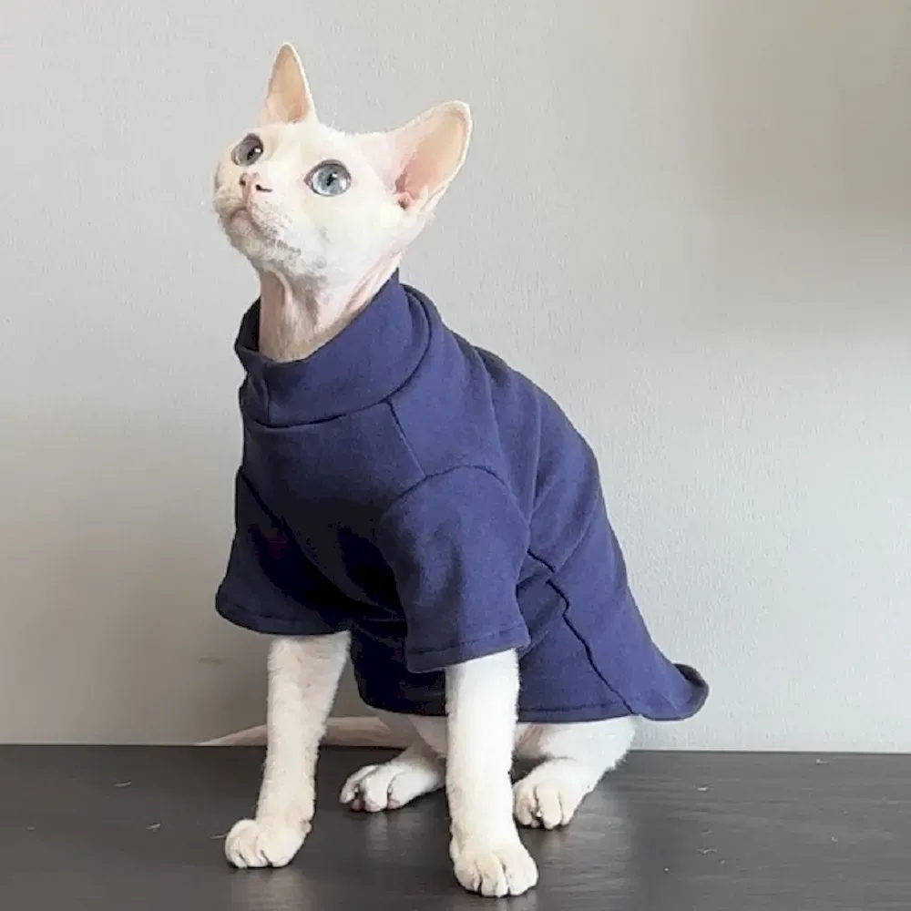 Fall and winter cat sweater Wholesale fall and winter cat sweater