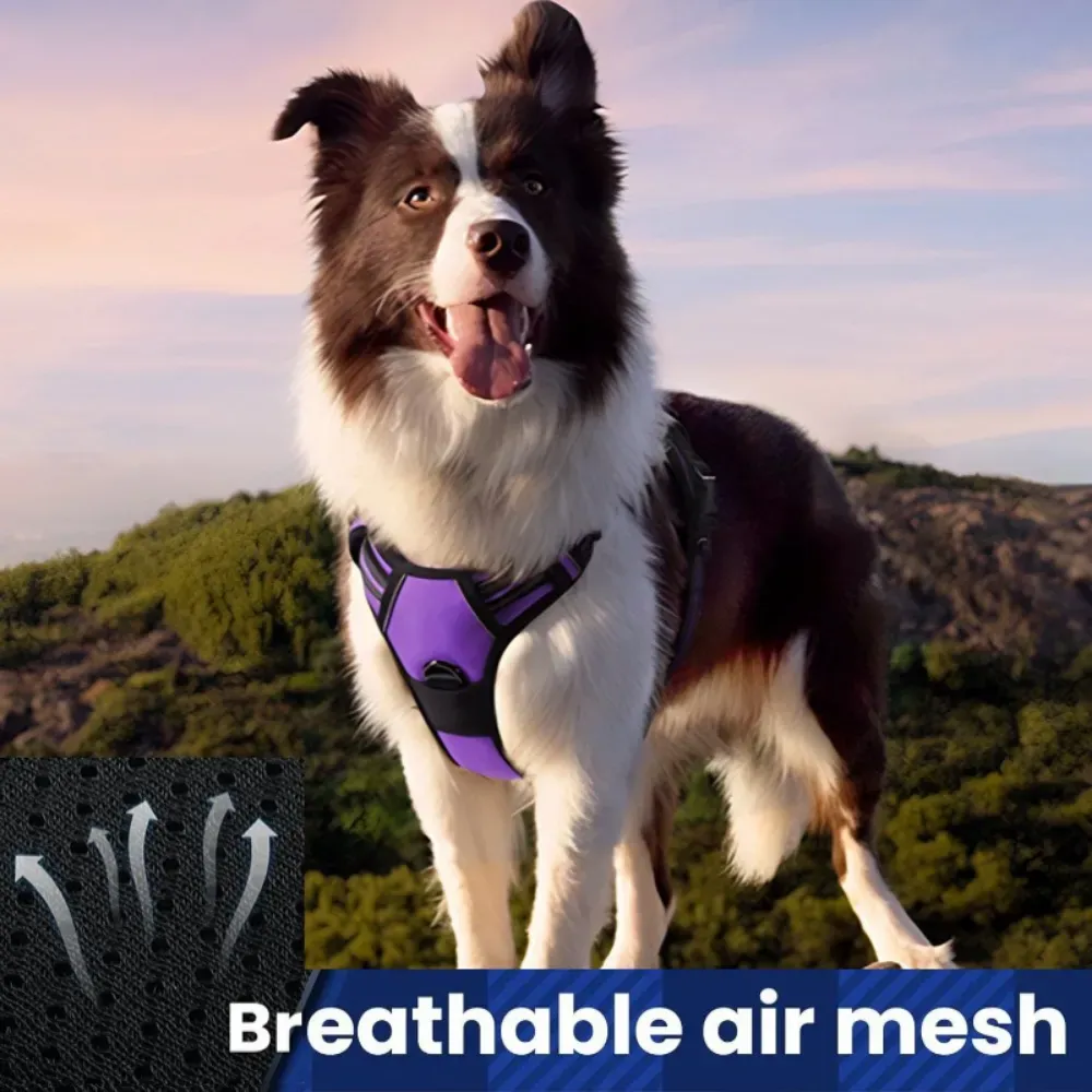 Heavy-Duty Nylon Material for Strength and Comfort: Crafted from durable nylon, the harness is designed to withstand daily use while remaining comfortable for pets, even on long walks.