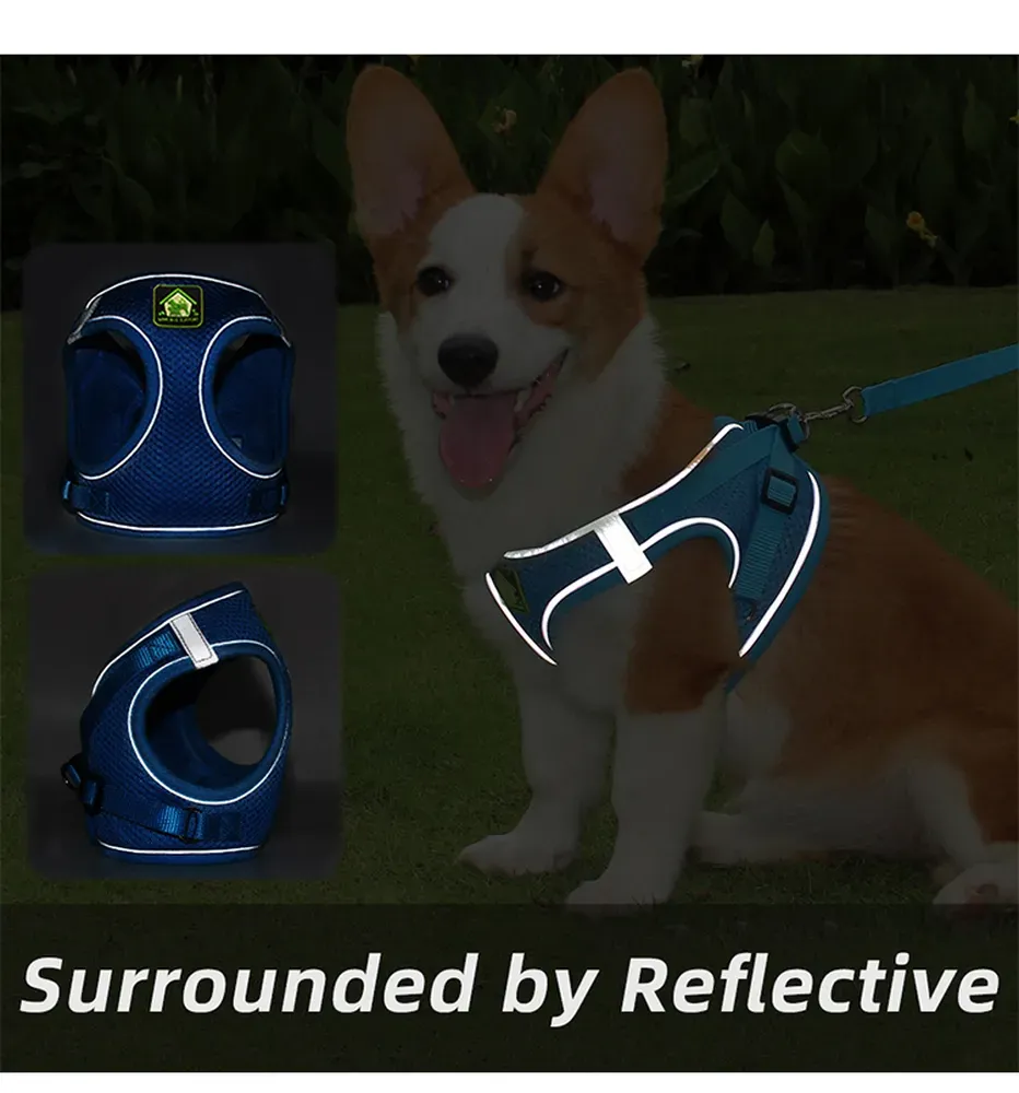 Multi-Directional Reflective Design: The reflective strips on the harness provide enhanced visibility from multiple angles, making pets more noticeable during nighttime walks or when visibility is low.