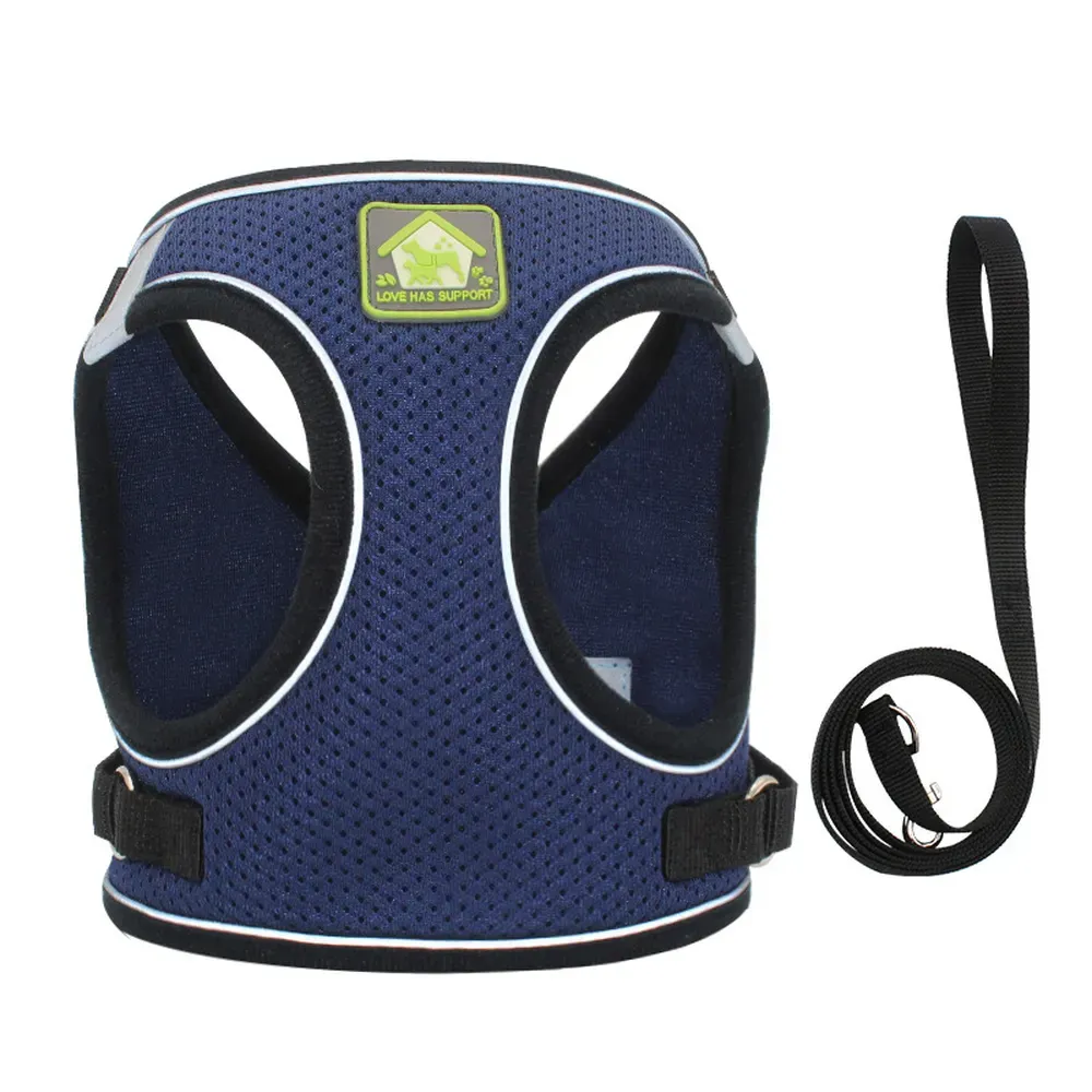 Durable Construction for Long-Lasting Use: Built to last, this harness features durable materials that can withstand everyday use, providing reliable service for long periods.