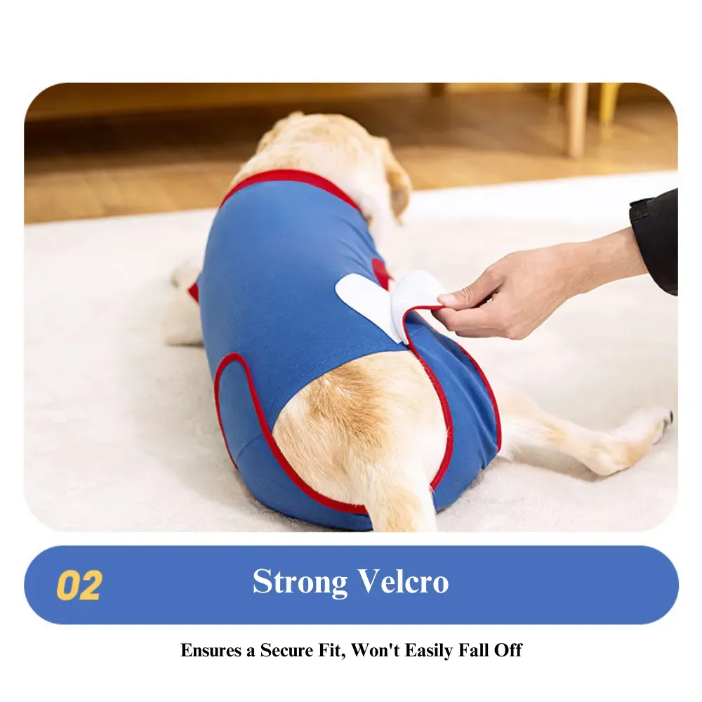 Breathable Dog Recovery Suit