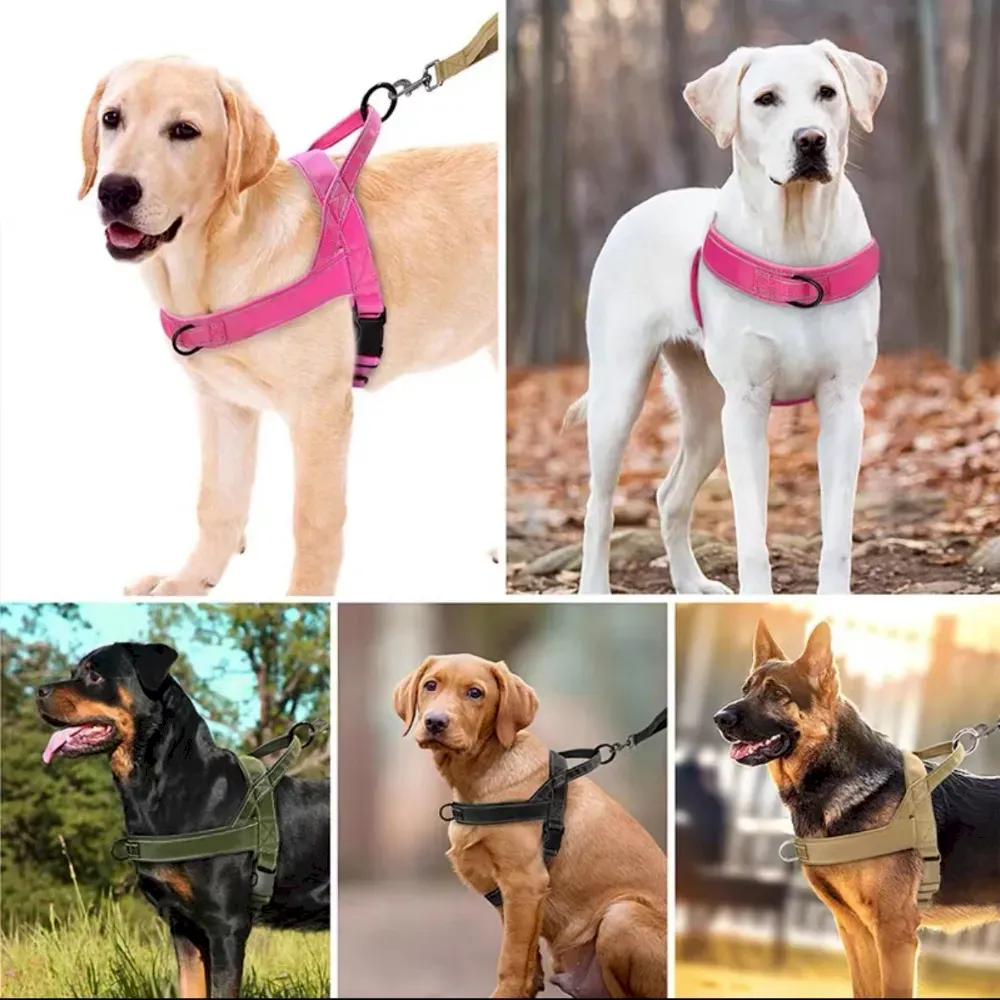Best Elastic Reflective Dog Car Leash