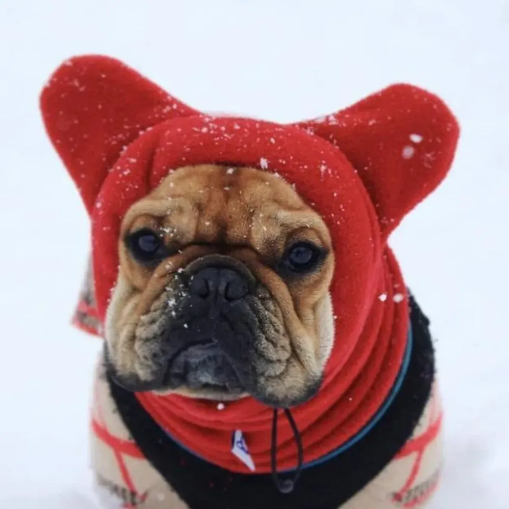 Quality Pet Hat
