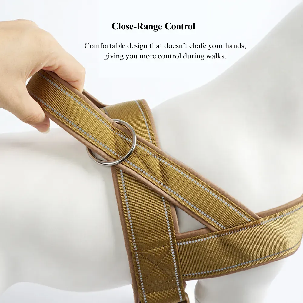 Comfortable Elastic Dog Car Leash