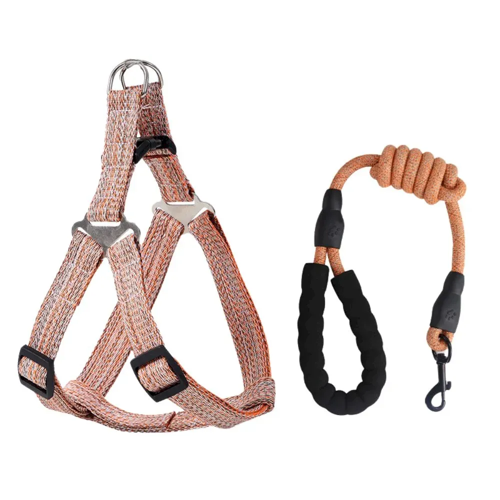 Durable Pet Leash for Active Dogs