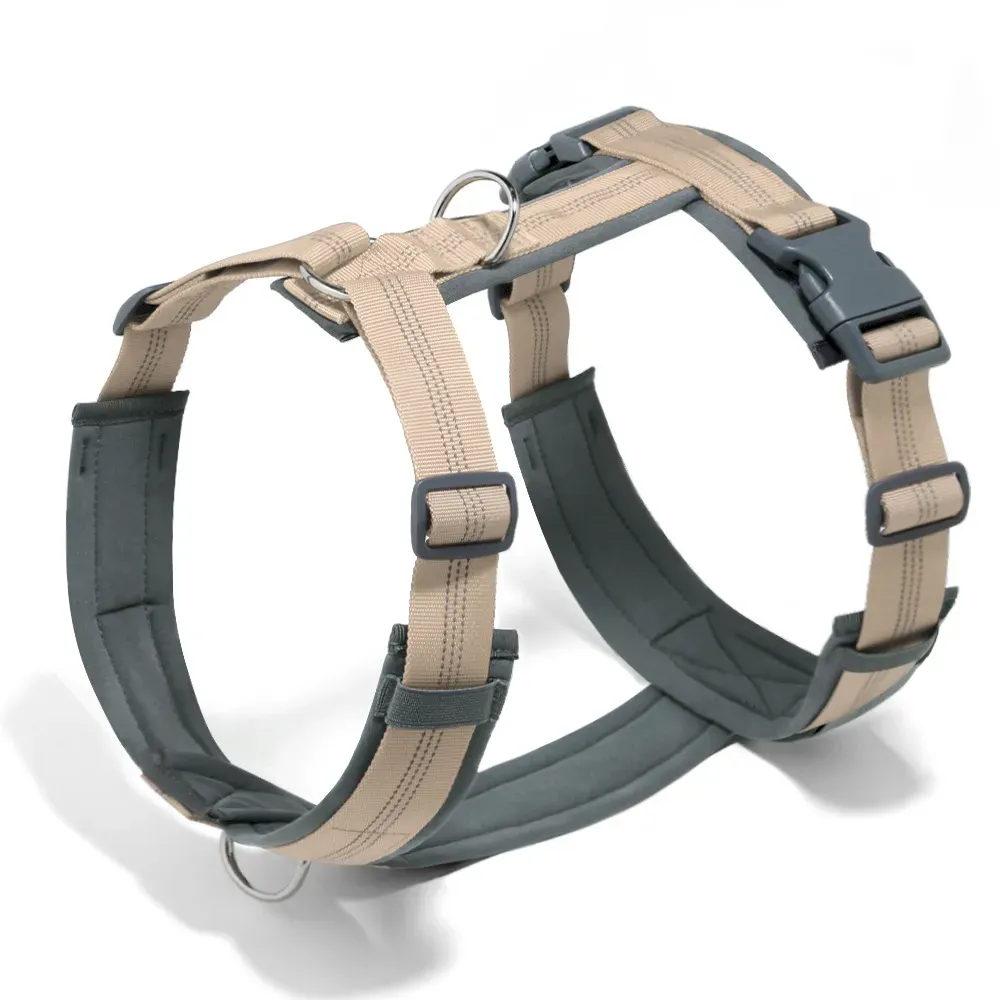 Reliable Adjustable Dog Harness and Leash Set, Anti-Pull