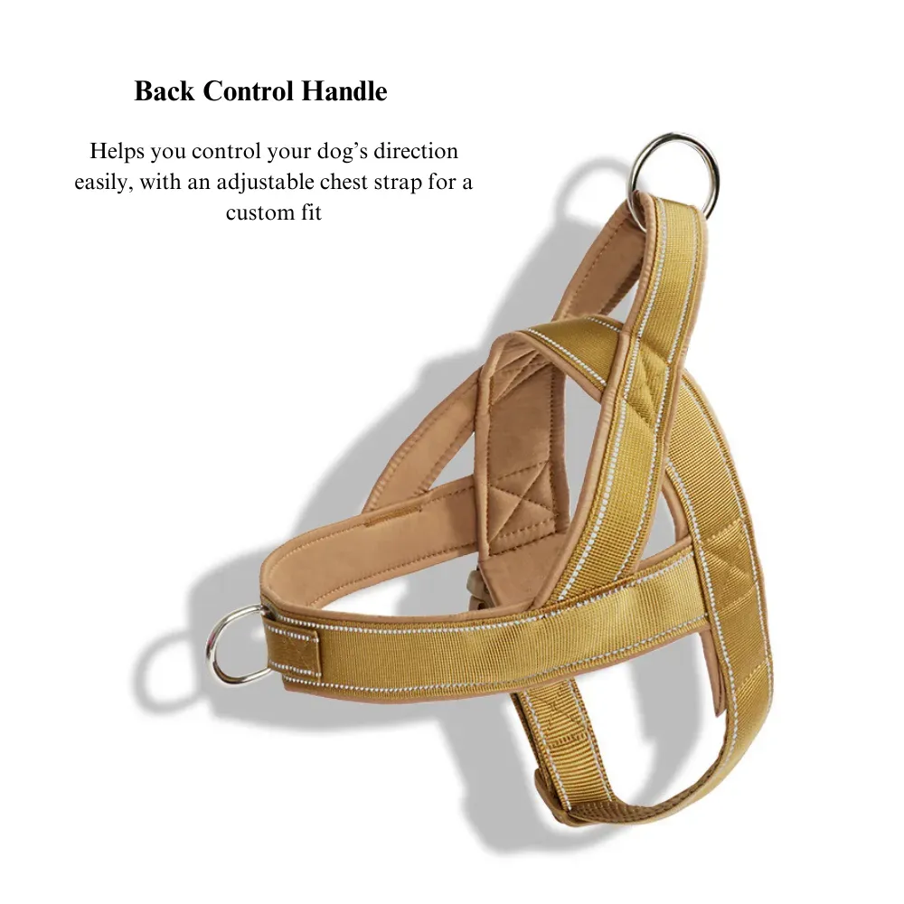 Top-Rated Adjustable Dog Car Leash