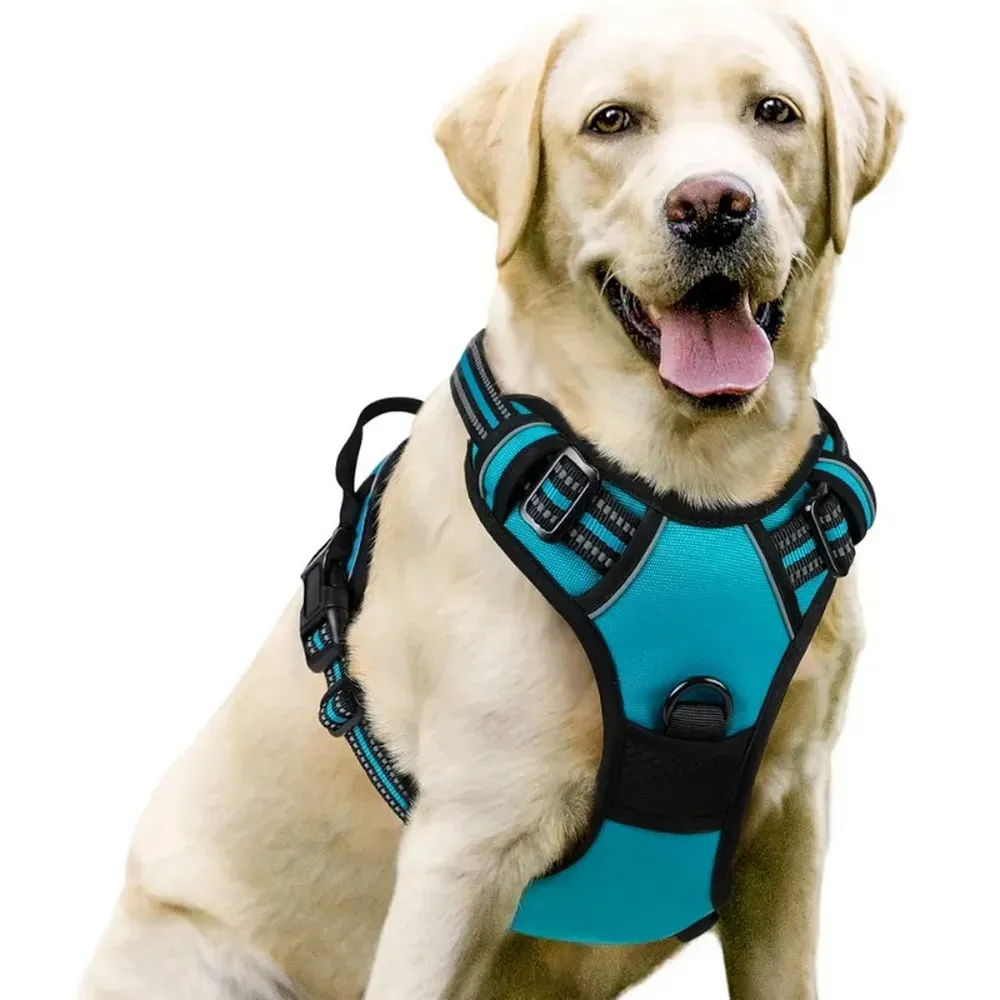 High-Quality Construction for Long-Lasting Use: Built with durable nylon and an alloy D-ring, this harness is made to last, providing reliable performance even with frequent use.