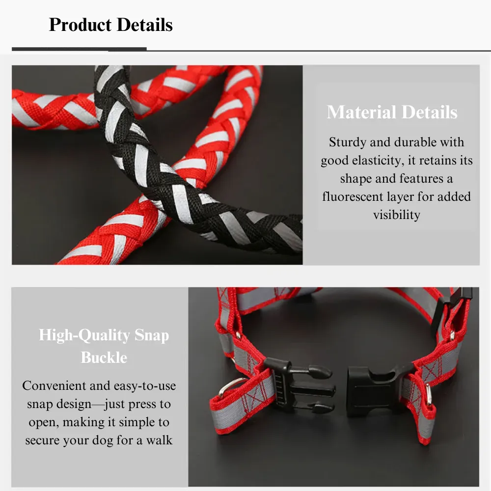 Reflective Braided Dog Leash with Harness