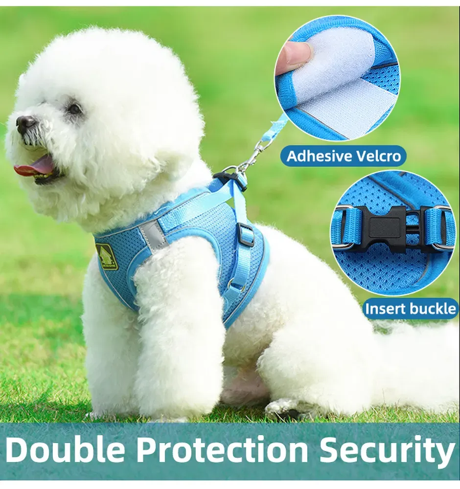 Adjustable Chest Strap for a Custom Fit: The harness features an adjustable chest strap, offering a secure fit that can be customized to meet the specific needs of any pet, providing comfort and control.