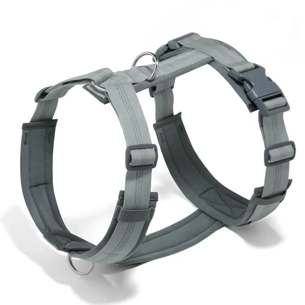 Stylish Anti-Pull Harness and Leash Set for Walking