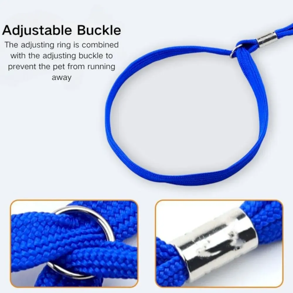 Adjustable pet grooming leash Adjustable pet grooming leash