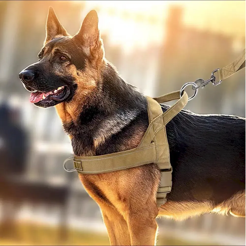 Professional Reflective Band Dog Car Leash