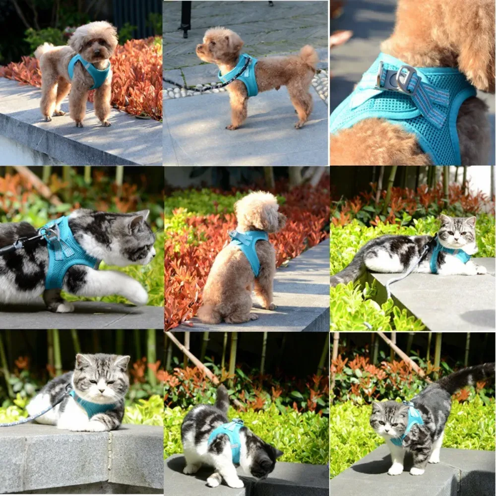 small dog harness (2) Universal Fit for All Pet Sizes: This versatile harness is suitable for small, medium, and large dogs and cats, providing a comfortable, secure fit for pets of all shapes and sizes.