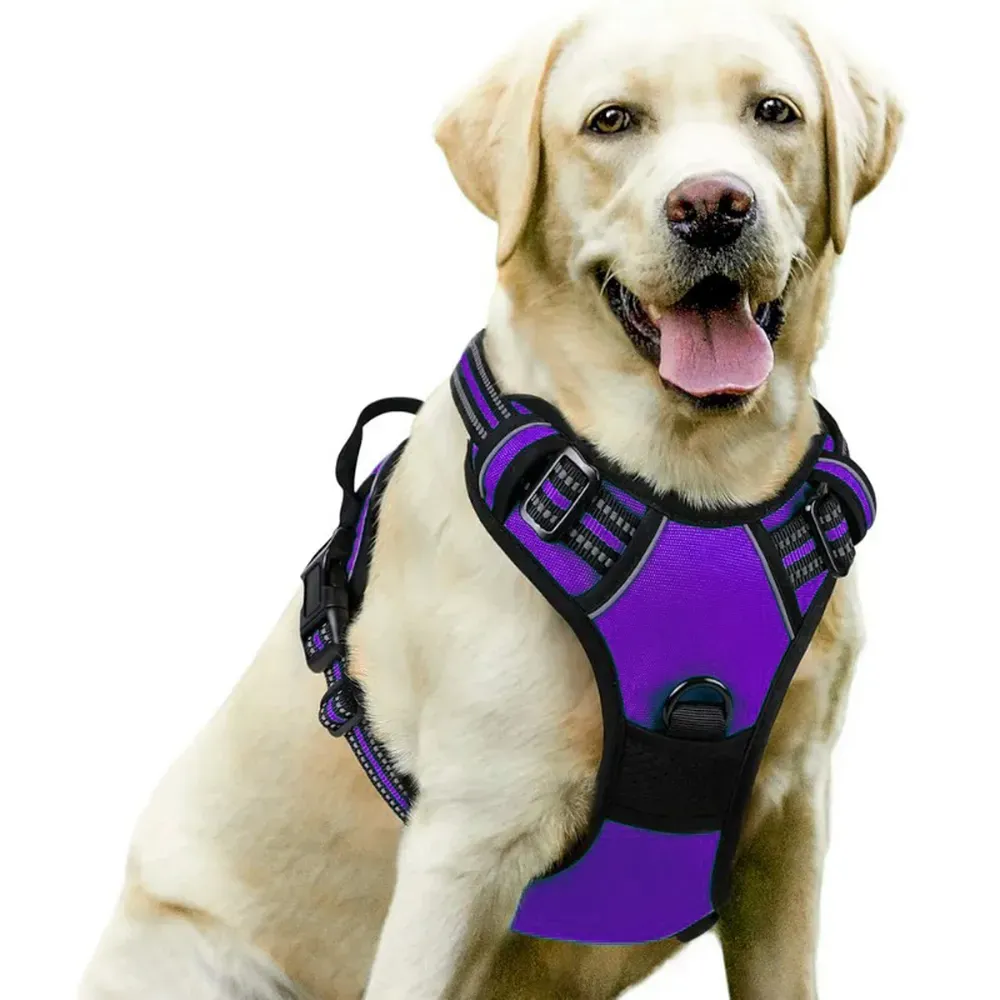 Quick Attach and Detach with Alloy D-Ring: The alloy D-ring provides a quick and easy way to attach leashes, tags, or bells, offering a hassle-free experience for pet owners.