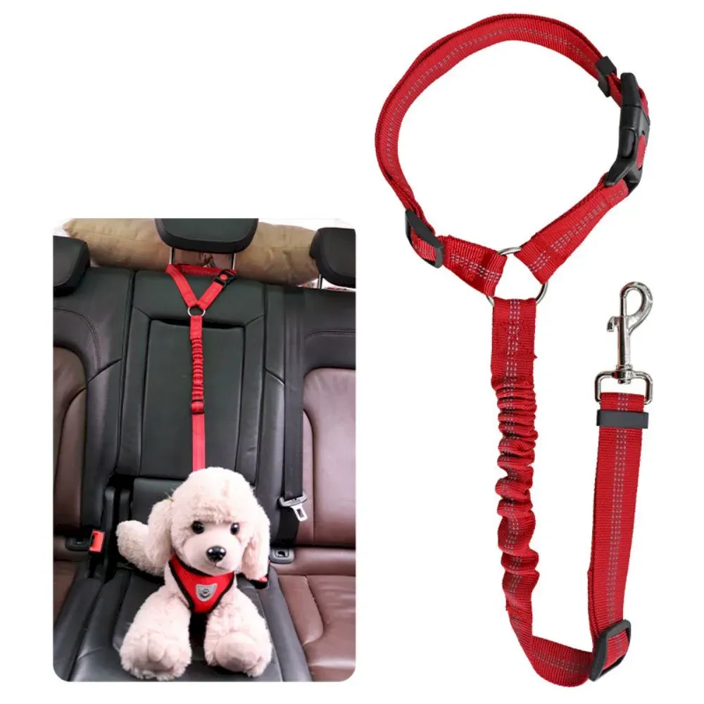 Affordable Car Safety Leash for Dogs, Elastic and Adjustable