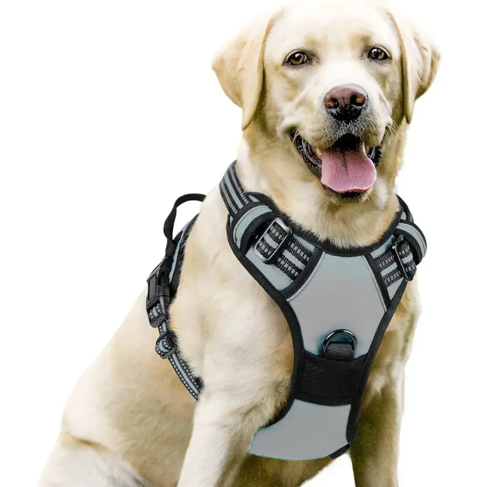 Sleek and Functional Design for Style and Practicality: The harness combines functionality and style, offering a practical solution that is also sleek and modern for pets of all shapes and sizes.