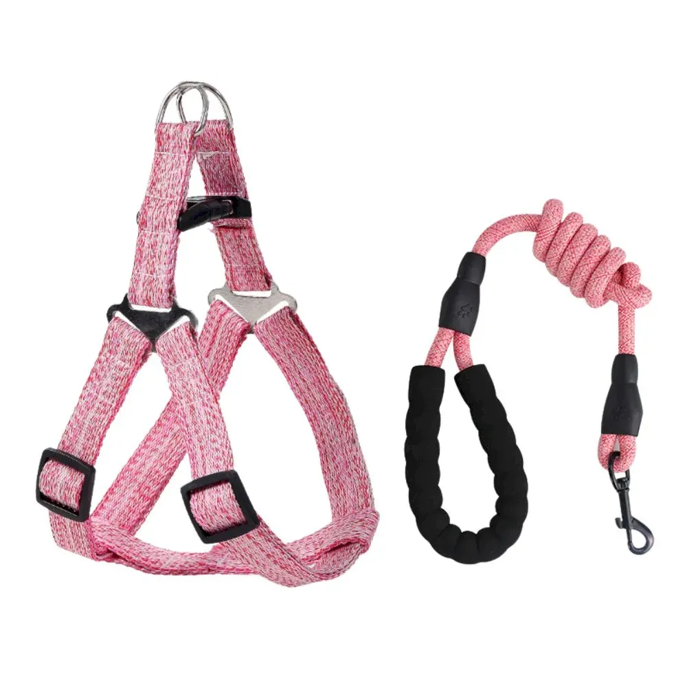 Durable Walking Dog Harness and Leash