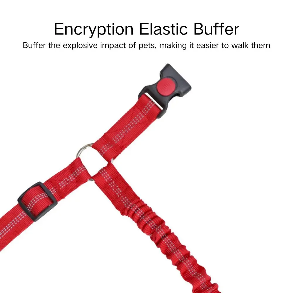 Car Safety Leash for Dogs - Elastic to Absorb Shock