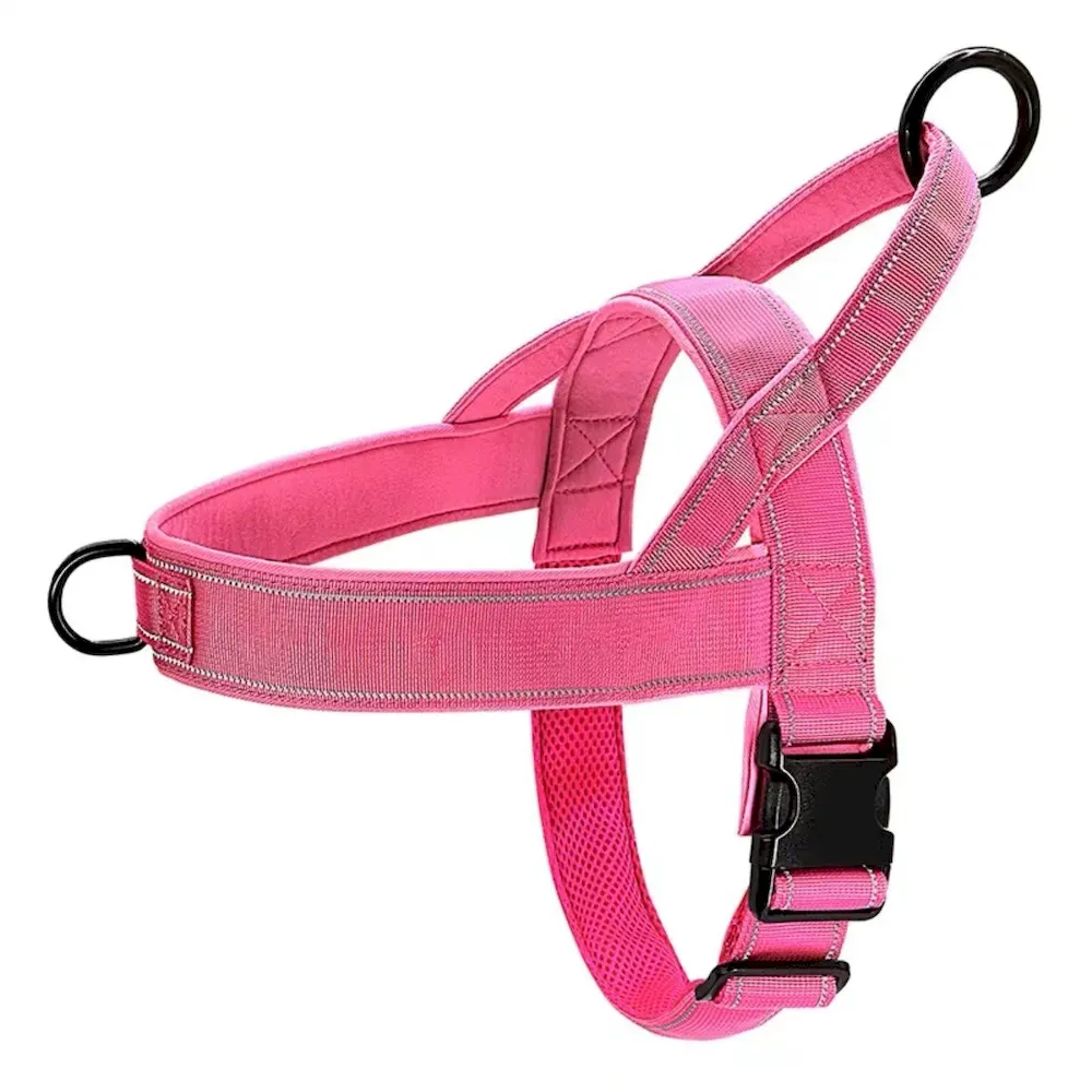 Affordable Elastic Adjustable Dog Car Leash