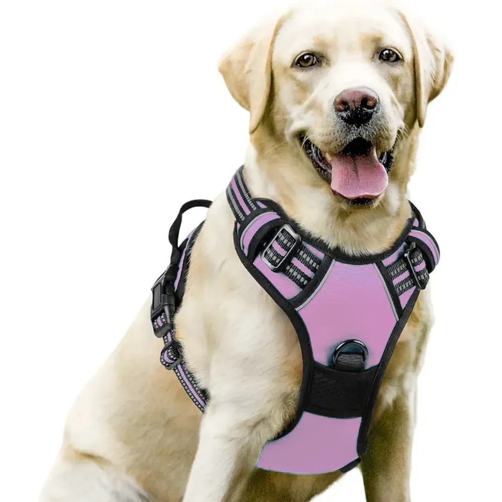 Perfect Fit for Large Dogs: With four adjustable straps, this harness is specifically designed to fit large dogs comfortably, providing the support they need without causing discomfort.