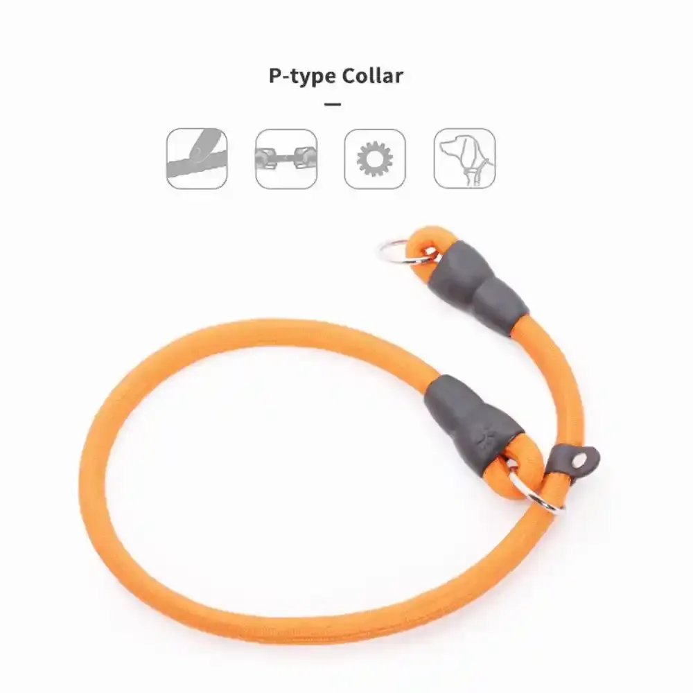 Dog Slip Collar Supplier