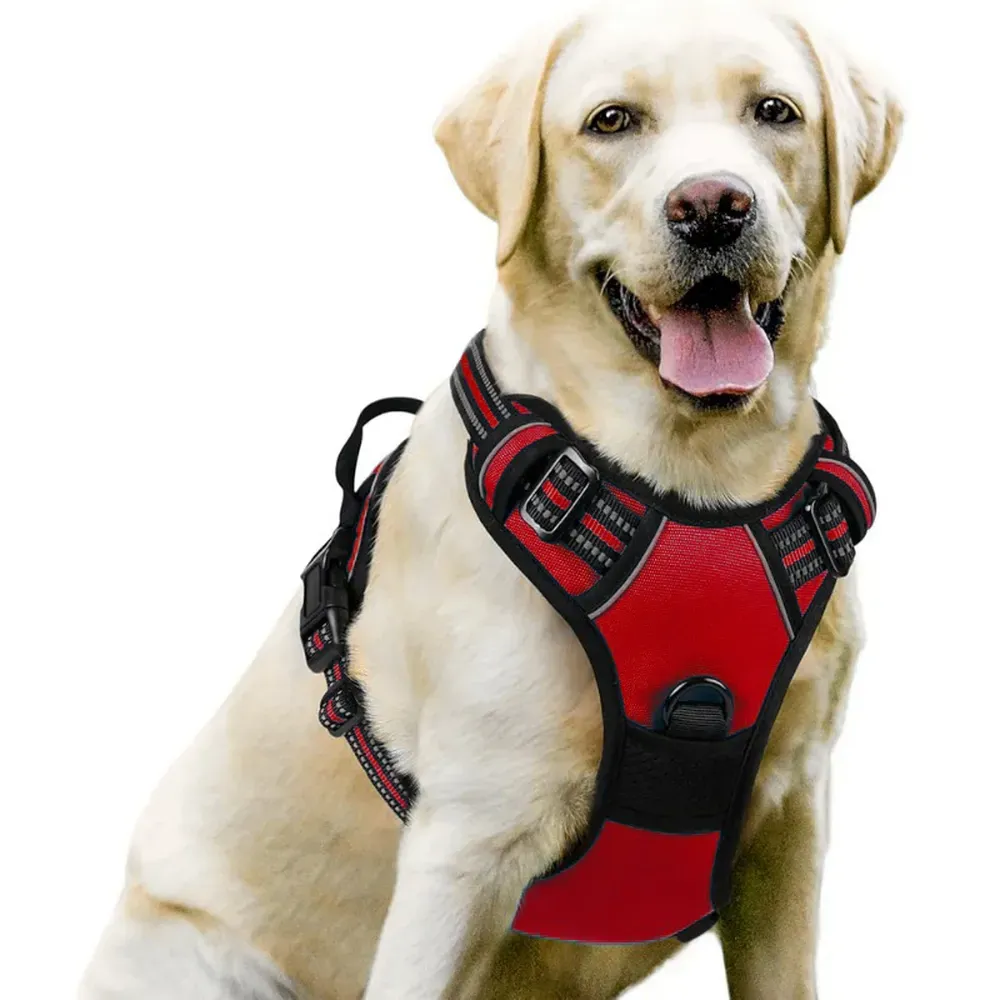 Reflective Strips for Enhanced Night Visibility: The reflective elements on the harness enhance nighttime visibility, making it a great option for evening walks, hikes, or trips to the park.