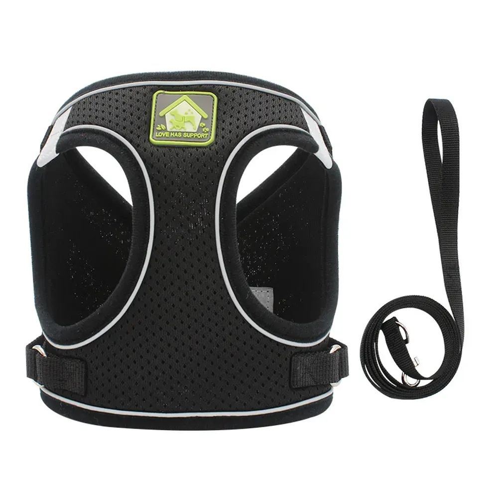 Non-Slip Design for Secure Fit: The harness stays in place during walks, preventing shifting or discomfort while ensuring pets move freely.
