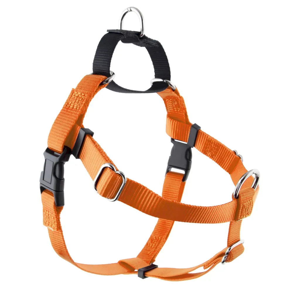 Affordable Dog Vest Harness for Large Breeds