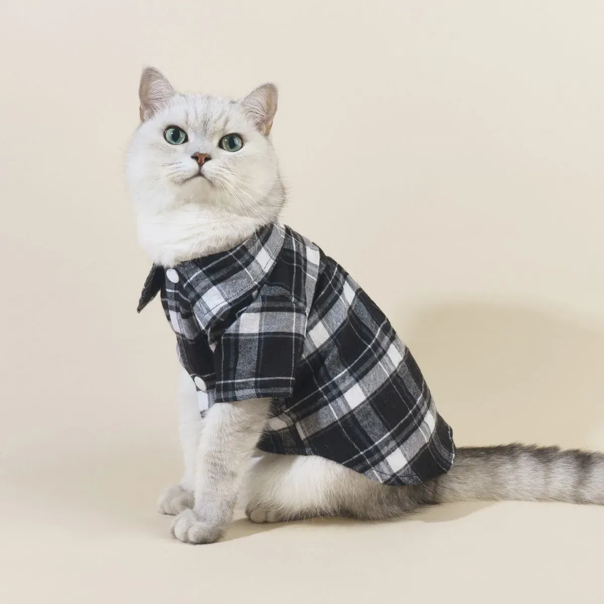 Black Cat Plaid Shirt