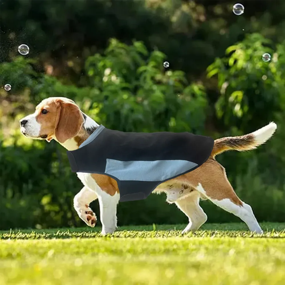 Calming Dog Clothes