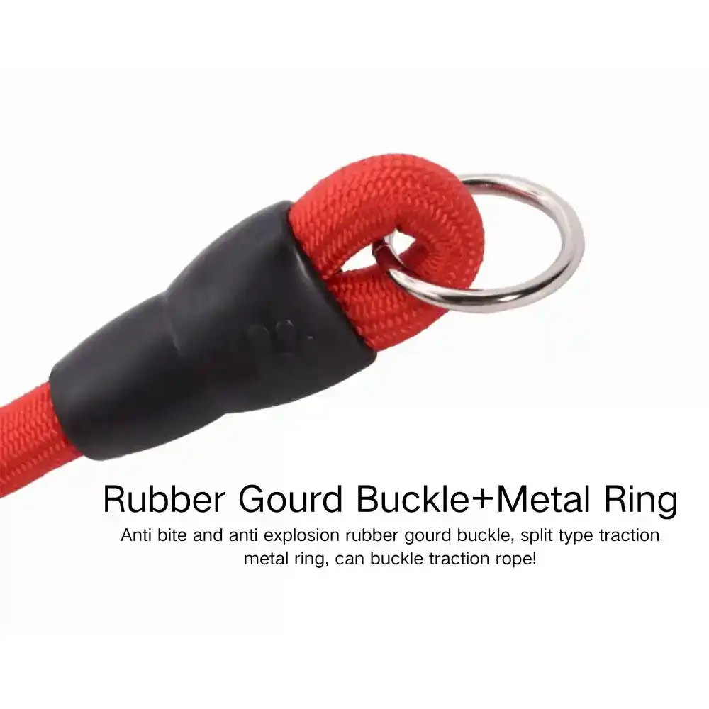 Dog Slip Collar Manufacturer