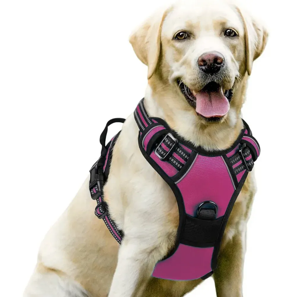 Ideal for Large Breeds and Active Dogs: This harness is built for large dogs and is designed to withstand high levels of stress while keeping the pet comfortable and secure during walks and outdoor activities.